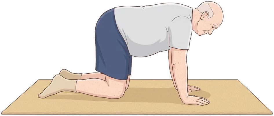 Belly draw-in on hands and knees, hold position