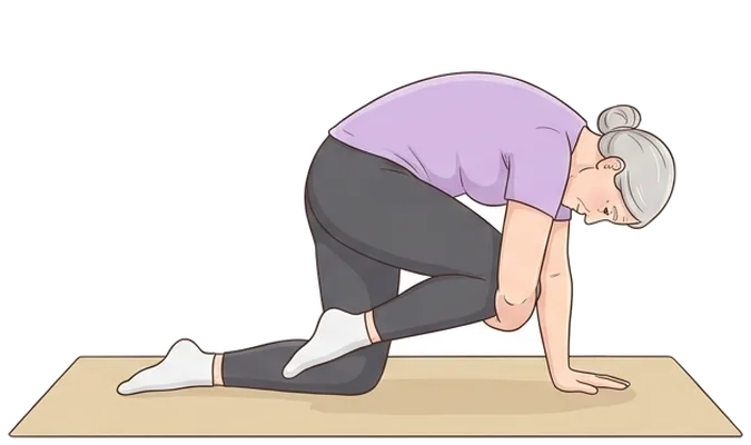 Bird dog with elbow to knee, end position