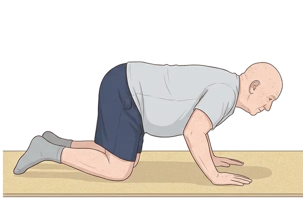 Push-ups on your knees, end position