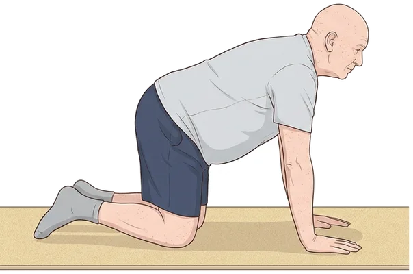Push-ups on your knees, start position