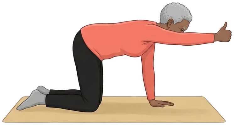 Arm lifts on hands and knees, end position