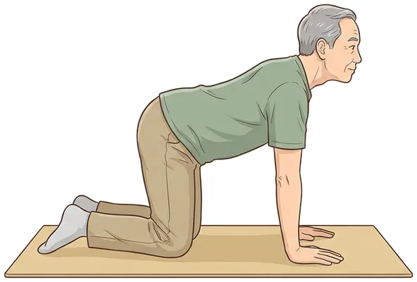 Shoulder blade push-ups on hands and knees, start position